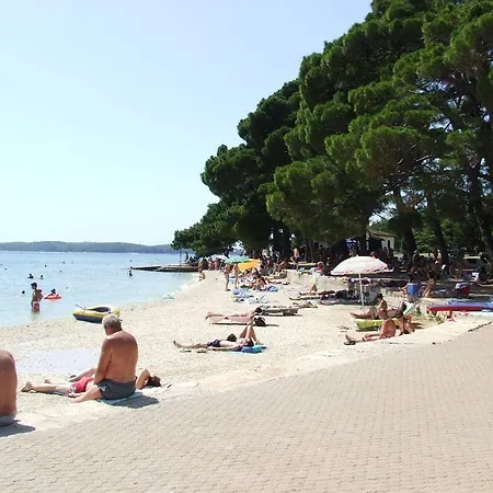 Saric Pula
